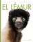 El LÃ©mur