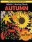 Autumn Adult Coloring Book