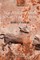 Polytheism and Society at Athens