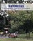 The Fountains Teachers Guidebook
