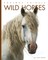 Wild Horses