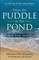 From the Puddle to the Pond