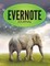 Evernote Journal