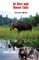 Of Mice and Moose Calls (Color Edition)