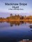 Mackinaw Snipe Hunt : A Ray Lillibridge Story