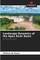 Landscape Dynamics of the ApeÃÂº River Basin