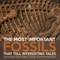 The Most Important Fossils That Tell Interesting Tales Curious About Fossils Grade 5 Children's Earth Sciences Books