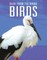 Birds: Back from the Brink