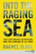 Into the Raging Sea