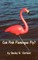 Can Pink Flamingos Fly?