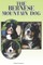 The Bernese Mountain Dog
