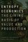 Entropy Economics