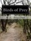 Birds of Prey