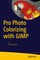 Pro Photo Colorizing with GIMP