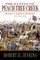 The Battle of Peach Tree Creek