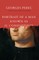 Portrait of a Man Known as Il Condottiere