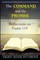 The Command and the Promise