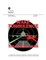 Wake Turbulence Training Aid