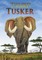 Tusker