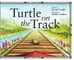 Turtle on the Track