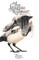 Magpie Runner