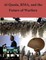 Al Qaeda, RMA, and the Future of Warfare