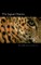 The Jaguar Diaries