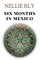 Six Months in Mexico