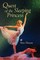 Quest of the Sleeping Princess