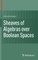 Sheaves of Algebras Over Boolean Spaces