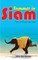 Summer in Siam