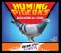 Homing Pigeons: Navigation All-Stars