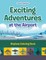 Exciting Adventures at the Airport