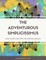 The Adventurous Simplicissimus