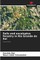Soils and eucalyptus forestry in Rio Grande do Sul