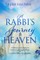 A Rabbi's Journey to Heaven