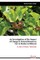 An Investigation of the Impact of Change in Natural Resources Use in Hadza Livelihood