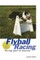 Flyball Racing