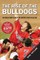 The Rise of the Bulldogs
