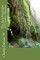 The Autobiography of Charles Darwin