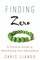 Finding Zero
