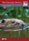 The Eurasian Beaver