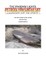 The Phoenix Lights- Petroglyphsinthesky (Landscapes for the Spirits)