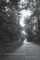 Long Dark Road