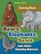 Bears, Elephants, Seals and other Chubby Animals Coloring Book