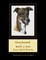 Greyhound