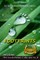 Footprints