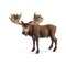 SCHLEICH WILD LIFE Aļņu tēviņš