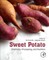 Sweet Potato