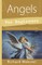 Angels for Beginners